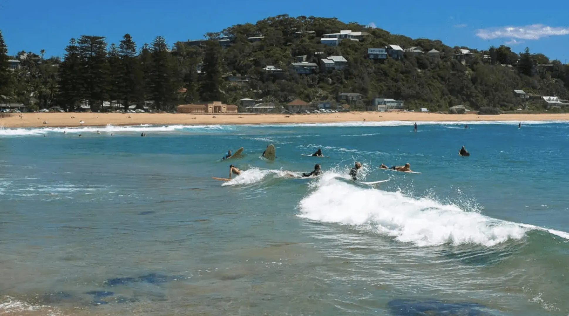 Screenshot 2025-04-28 at 5.19.52 PM Palm Beach Property Sydney